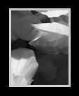 An infrared rose garden thumbnail