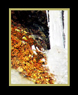 ice cave thumbnail