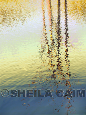 Reflections in river that look like streams of gold