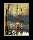 A montage of 3 shots of a winter scene
