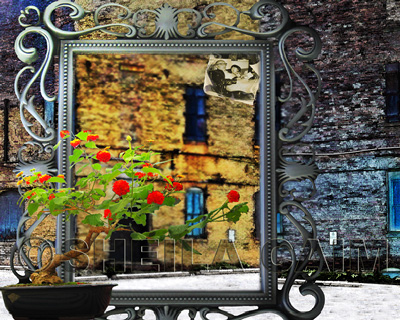 composite still life